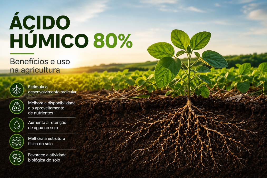Ácido Húmico 80%: o que é, benefícios e como usar na agricultura
