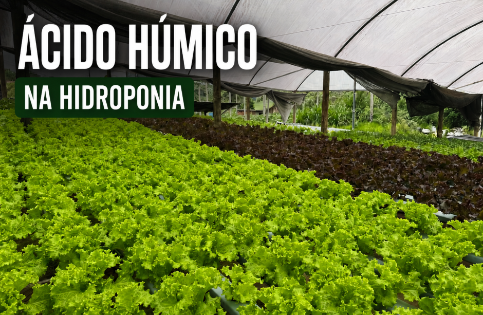 Ácido Húmico na Hidroponia: Benefícios e Uso na Solução Nutritiva