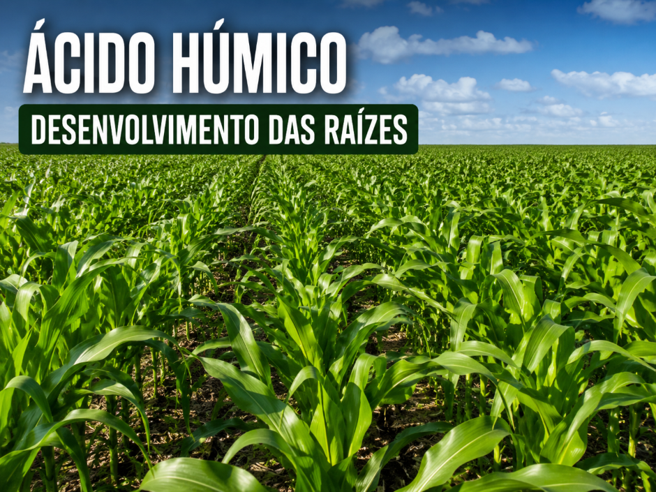 Como o Ácido Húmico Estimula o Desenvolvimento das Raízes